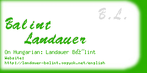 balint landauer business card